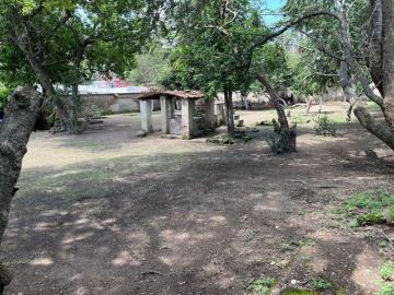 Terreno en Venta Sobre Av Principal Uso de Suelo Mixto Santa Anita