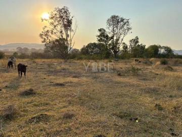 Terreno en venta sobre Carretera Colotlán