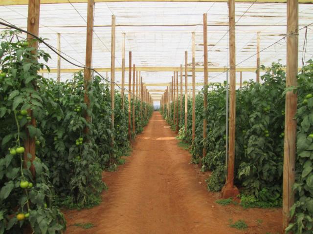 Terreno en venta Sorbas