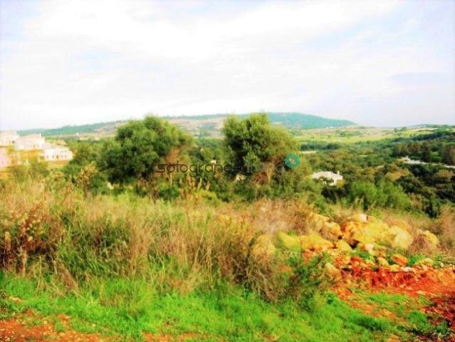 Terreno en venta Sotogrande
