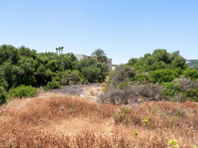 Terreno en venta Sotogrande