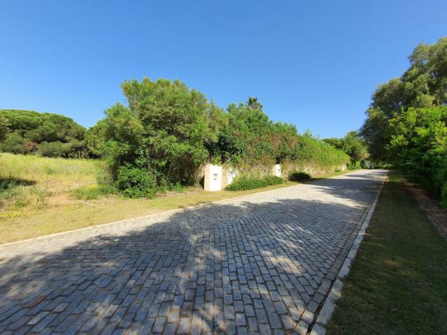 Terreno en venta Sotogrande