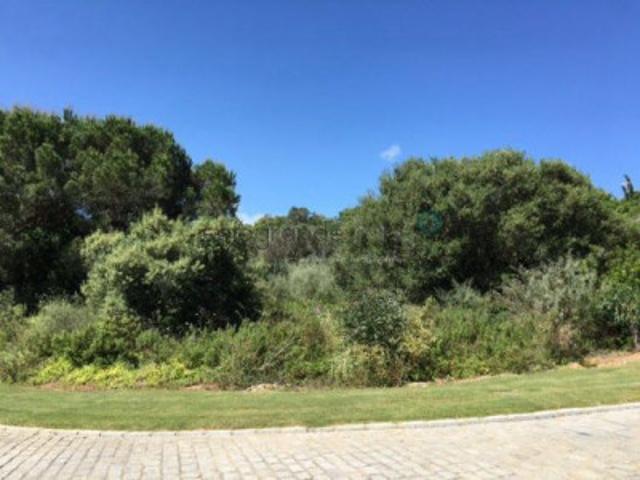 Terreno en venta Sotogrande