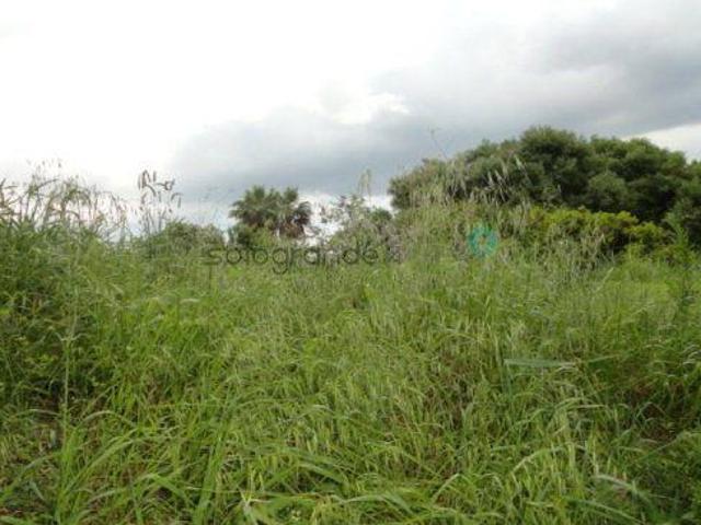 Terreno en venta Sotogrande