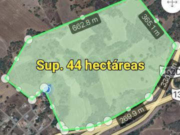 TERRENO EN VENTA TULANCINGO HIDALGO SUP. 44 HECTAREAS Escriturado