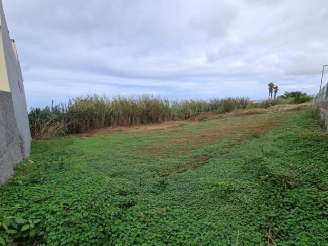 Terreno en venta Tacoronte