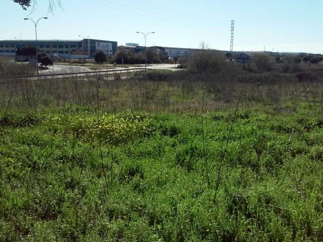 Terreno en venta Talavera de la Reina