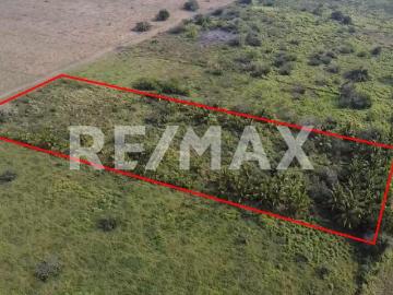 TERRENO EN VENTA Tampico Alto