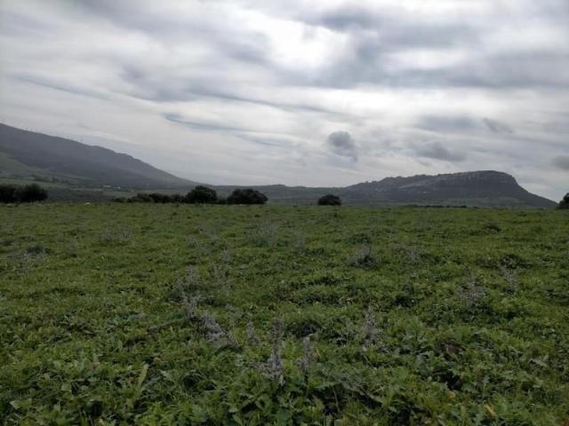 Terreno en venta Tarifa