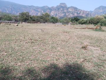 Terreno en venta Tecmilco, Tepoztl?n Morelos $25,000,000