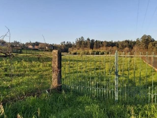 Terreno en venta Teo