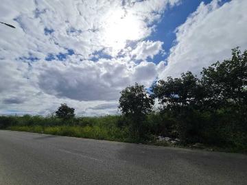 Terreno en Venta, Temozon