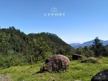 TERRENO EN VENTA, TENANGO DE DORIA, HIDALGO