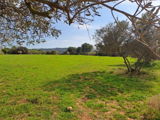 Terreno en venta Terrassa