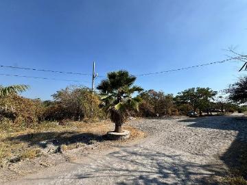 Terreno en Venta, Tetecalita, 4,657 m2