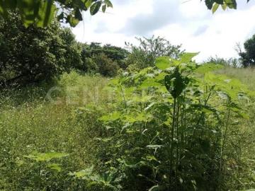 Terreno en Venta Tetecalita, Emiliano Zapata