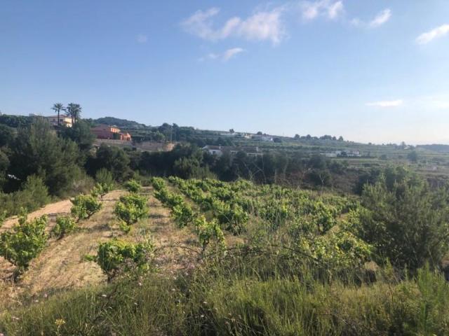 Terreno en venta Teulada