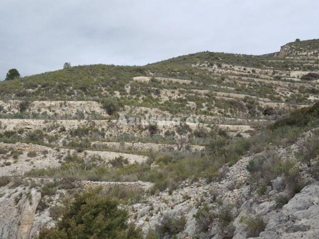 Terreno en venta Tibi