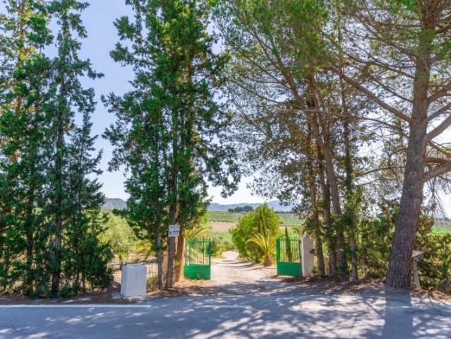 Terreno en venta Tíjola