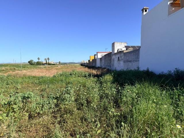 Terreno en venta Tocina