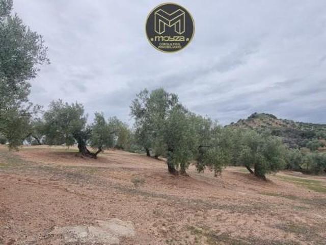 Terreno en venta Torredonjimeno