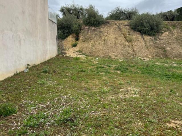 Terreno en venta Torredonjimeno