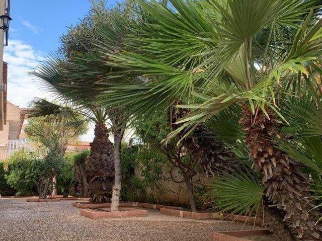 Terreno en venta Torrevieja
