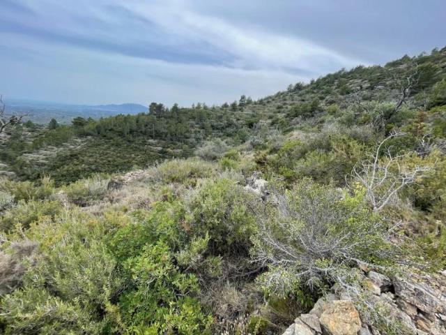Terreno en venta Tortosa