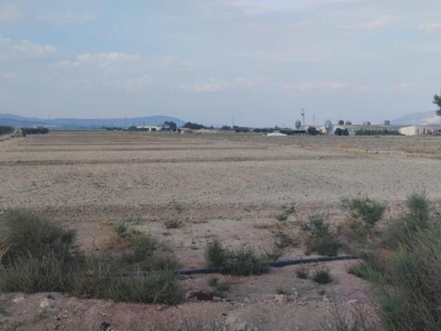 Terreno en venta Totana