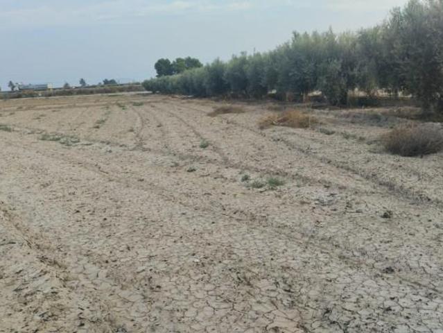 Terreno en venta Totana
