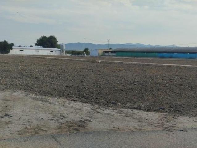 Terreno en venta Totana
