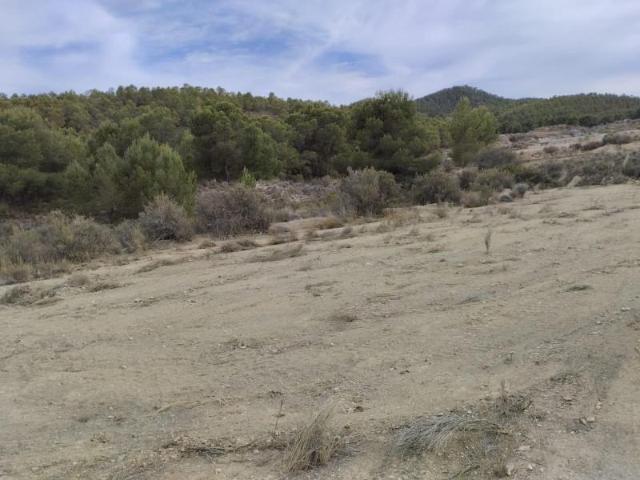 Terreno en venta Totana
