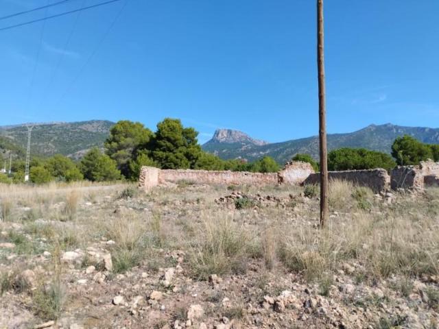 Terreno en venta Totana