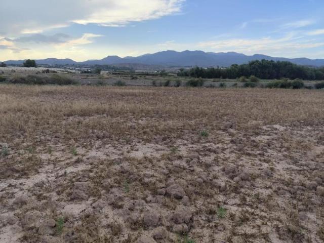 Terreno en venta Totana