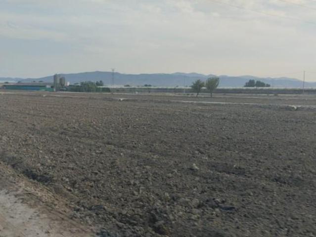 Terreno en venta Totana