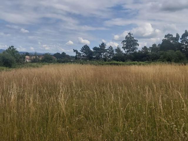 Terreno en venta Touro