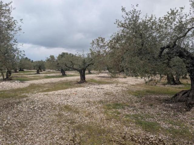 Terreno en venta Traiguera