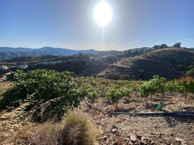 Terreno en venta Triana