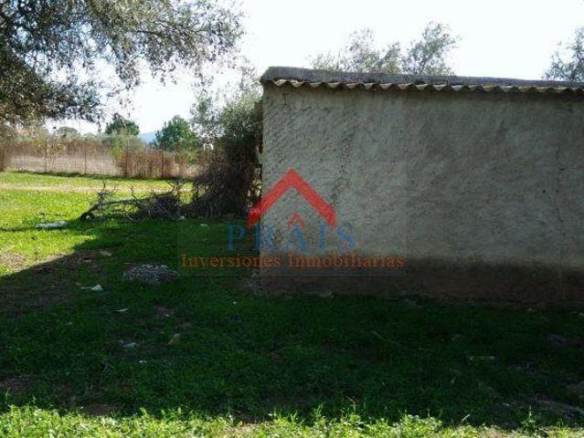 Terreno en venta Utrera