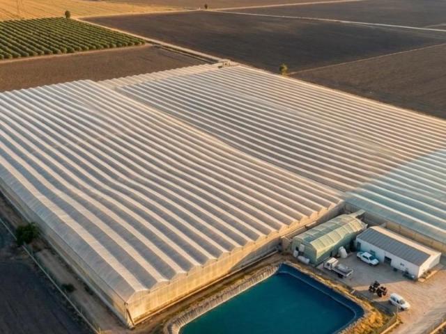 Terreno en venta Utrera