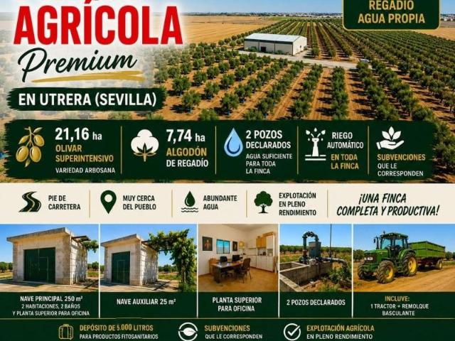 Terreno en venta Utrera