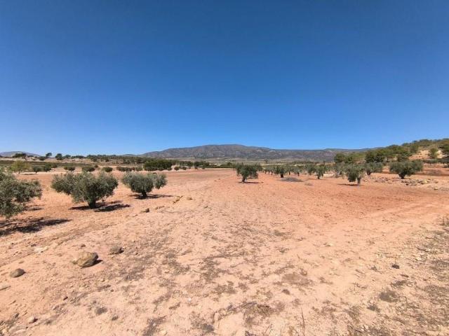 Terreno en venta Úbeda