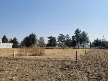TERRENO EN VENTA, UBICADO ENTRE CHICONCUAC Y CHIAUTLA