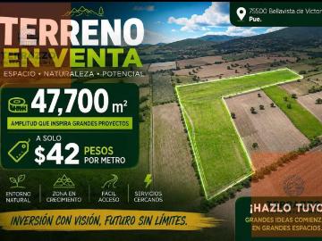 Terreno en venta ubicado en Palmar de Bravo, Puebla