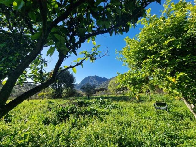 Terreno en venta Ubrique
