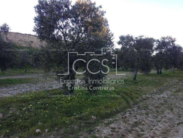 Terreno en venta Valencina de la Concepción