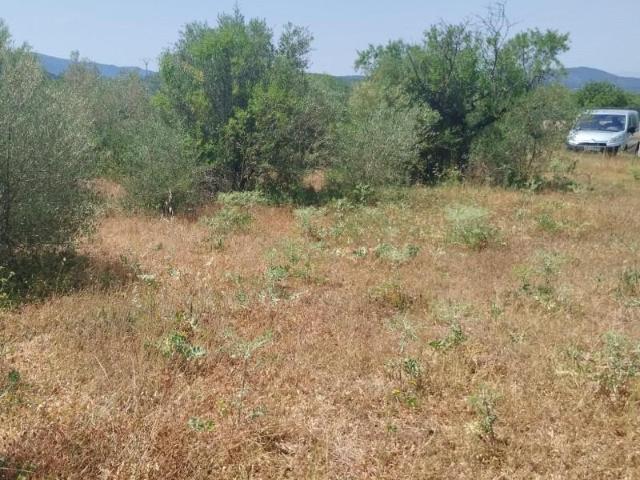 Terreno en venta Vall d'Alba