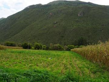 TERRENO EN VENTA VALLE SAGRADO AREA 1000m2