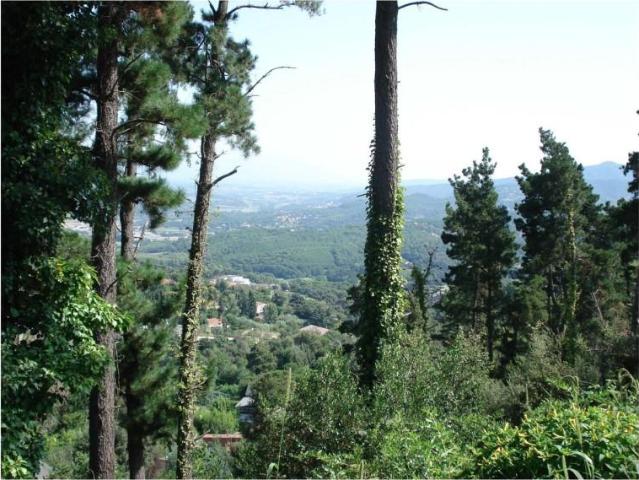 Terreno en venta Vallromanes