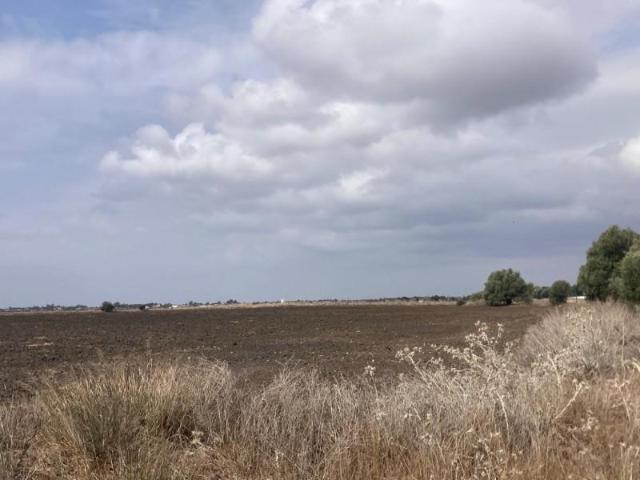 Terreno en venta Vejer de la Frontera